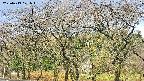 takano3-20250419071044.jpg