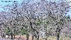 takano3-20250419084045.jpg