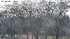 takano3-20250419163045.jpg