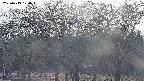 takano3-20250419170043.jpg