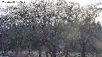 takano3-20250419172044.jpg
