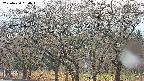 takano3-20250420054043.jpg