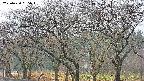 takano3-20250420065044.jpg