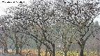 takano3-20250420070043.jpg