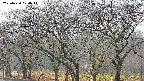 takano3-20250420074042.jpg