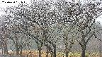 takano3-20250420081044.jpg