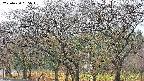 takano3-20250420085044.jpg