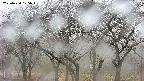 takano3-20250420105043.jpg