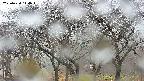 takano3-20250420114043.jpg