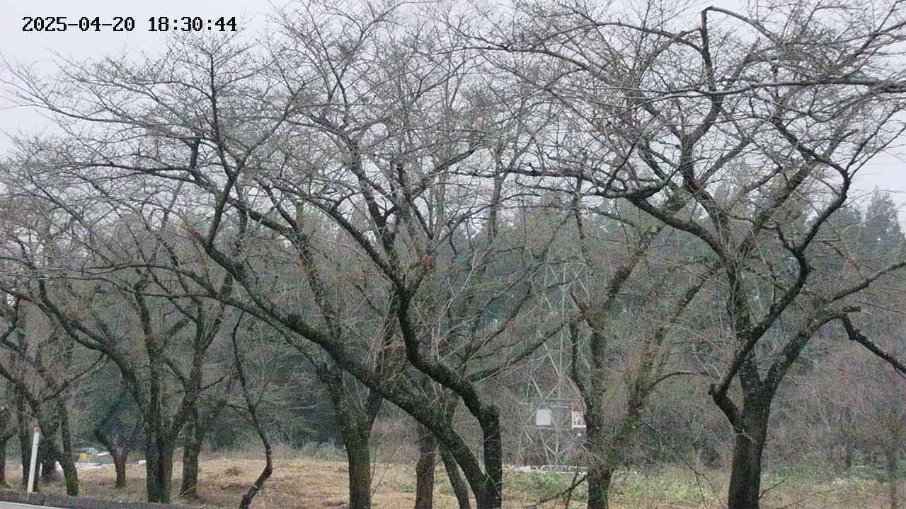 takano3-20250420183045.jpg
