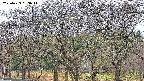 takano3-20250423053045.jpg