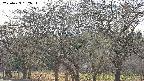 takano3-20250423162046.jpg