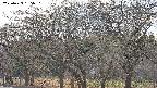 takano3-20250423165044.jpg