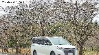 takano3-20250424165045.jpg