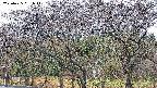 takano3-20250425051043.jpg