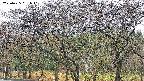 takano3-20250425061041.jpg