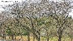 takano3-20250425091043.jpg