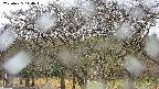 takano3-20250425110044.jpg