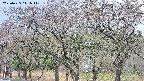 takano3-20250425141043.jpg