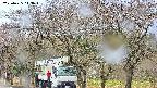 takano3-20250425143044.jpg