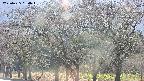 takano3-20250425154044.jpg
