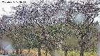 takano3-20250425173042.jpg