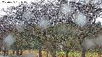 takano3-20250425181042.jpg