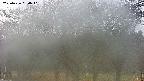 takano3-20250426050042.jpg