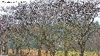 takano3-20250426051042.jpg