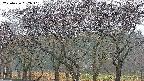 takano3-20250426052042.jpg