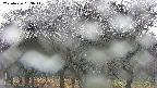 takano3-20250426053043.jpg