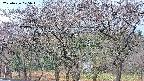 takano3-20250426075044.jpg