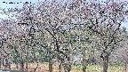 takano3-20250426080045.jpg