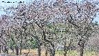 takano3-20250426094044.jpg