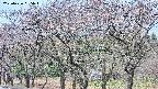 takano3-20250426095044.jpg