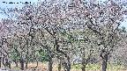 takano3-20250426100044.jpg