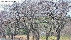 takano3-20250426103045.jpg