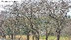 takano3-20250426120044.jpg