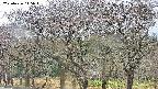 takano3-20250426145044.jpg