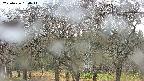 takano3-20250426150042.jpg