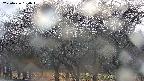 takano3-20250426160044.jpg