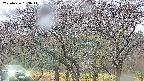 takano3-20250426163045.jpg