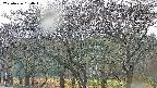 takano3-20250426164045.jpg
