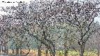 takano3-20250426170044.jpg