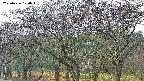 takano3-20250426174045.jpg