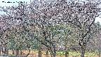 takano3-20250426175044.jpg