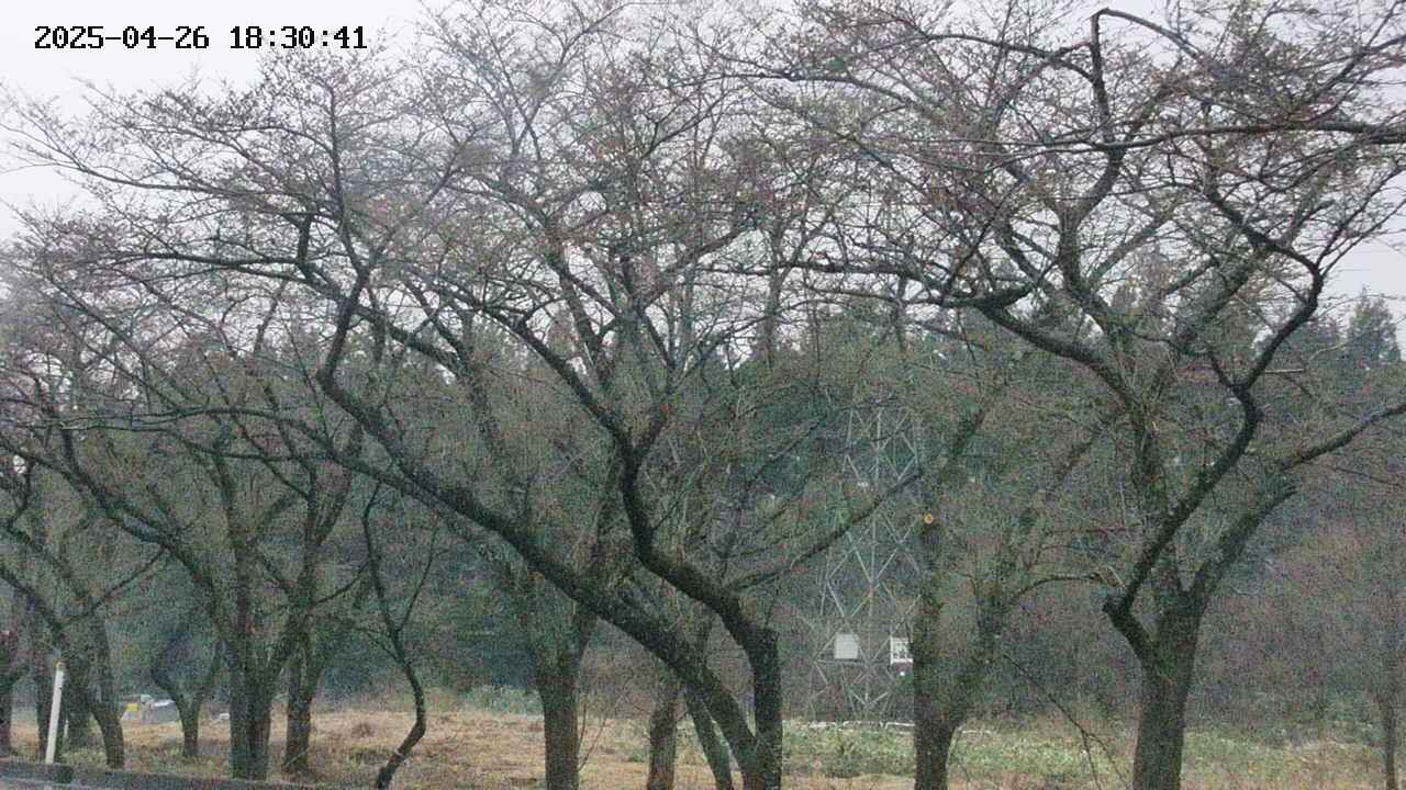 takano3-20250426183042.jpg