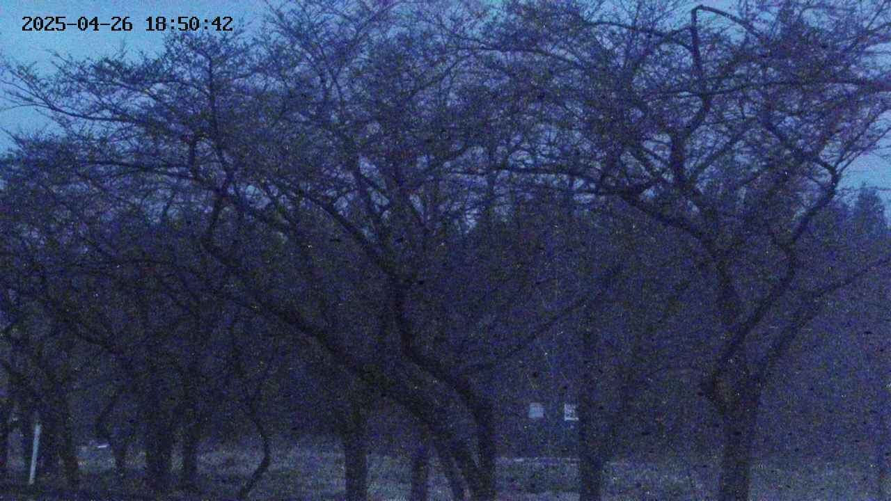 takano3-20250426185043.jpg