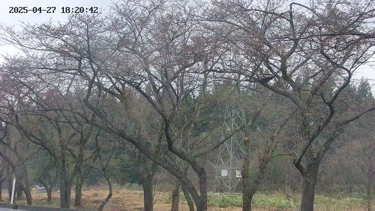 takano3-20250427182044.jpg