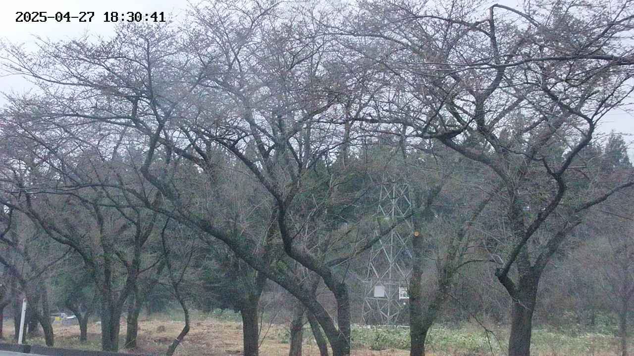 takano3-20250427183042.jpg